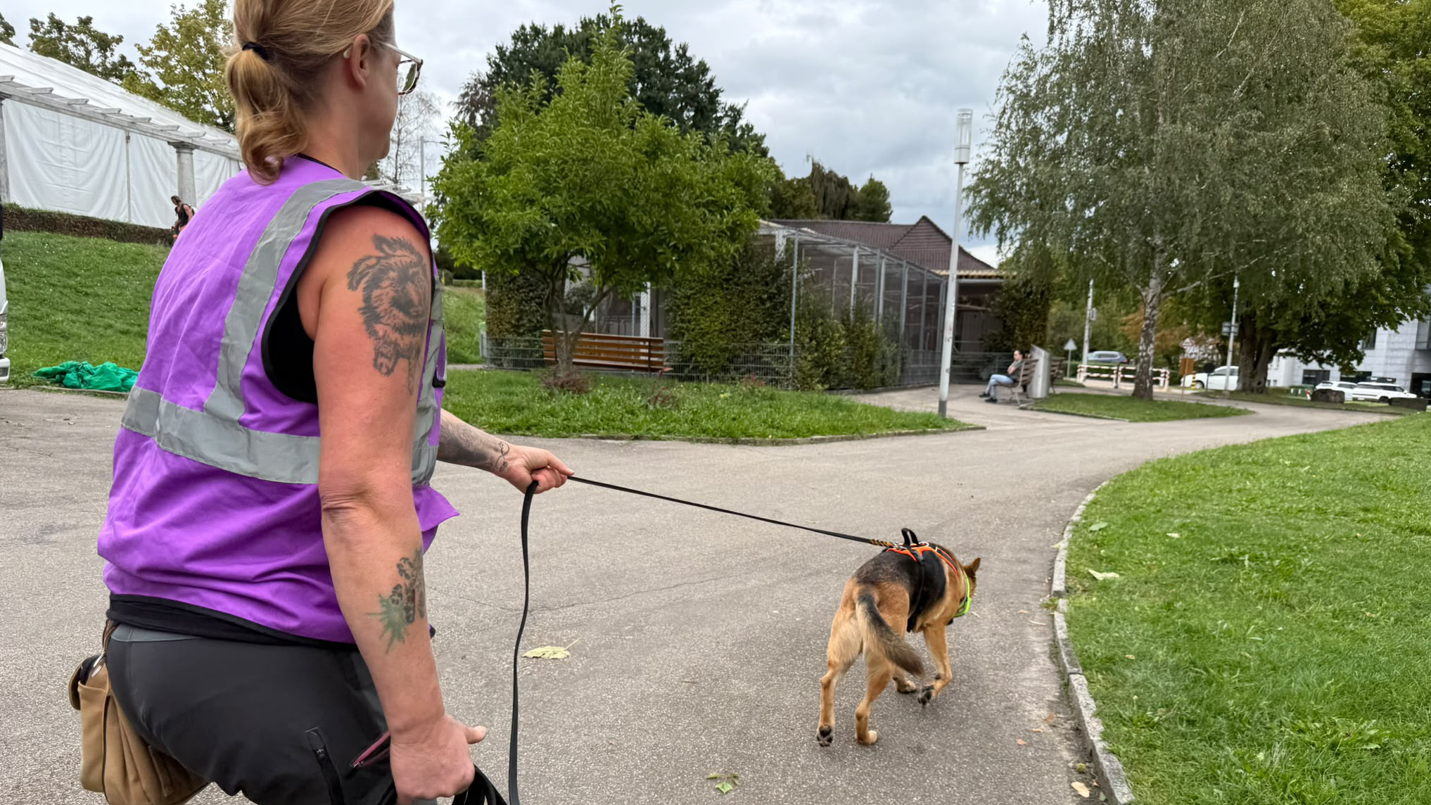 Hund folgt beim Mantrailing einer Geruchsspur durch die Altstadt
